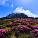 주식회사 돌담여행사