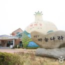 보물섬마늘나라 이미지