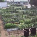 수자원농장 이미지