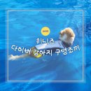 위니즈몰