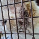 아름이농장 이미지