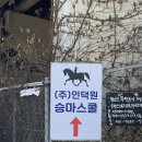 인덕원 승마스쿨 | 승마 1회 시승 후기 (내돈내산)