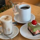 굿스터프 | [부천] 🍰디저트🥧 &amp; 🌿식물가득 따뜻한 분위기 원미동 애견동반 감성카페 “굿스터프(good stuff)” 후기