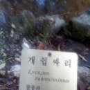 꽃을주는사람 이미지