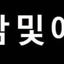 브랜든시티의원