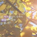 창세기 30:1~13 두 아내의 시기와 경쟁, 여종들이 낳은 아들들 이미지