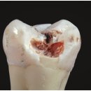 군산치과 이미지