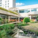 제주 멍냥 펫택시 | 제주 메종글래드 호텔 제주 시내 호텔 제주시 호텔 추천