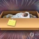 한파 속 신생아 숨진 채 발견…친모가 창밖으로 던져(종합) 이미지