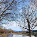 금모래 어린이집 놀이터 이미지