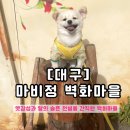마비정 누리길 | [대구] 마비정 벽화마을 | 주차, 강아지동반, 포토존 등