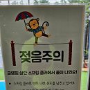 비토 노을숲 글램핑 이미지