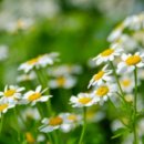 광명약국 이미지