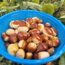 물밤농장 이미지