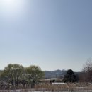 송학동1길 26 전주 앞 | 아기랑 전주여행 1박2일 코스 전주 한옥마을, 동물원, 포랩스커피컴퍼니