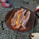 초록마을 운암점 | [청주여행] 청석포레 촌캉스 찐리뷰, 도심을 벗어난 진짜 휴식 내돈내산