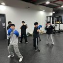 동탄센트럴복싱짐 | 땀방울이 만들어낸 삶의 변화, 동탄센트럴복싱짐 후기
