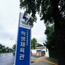 태권도서울체육관 | [잠실학생체육관] 태권도 승급 심사 후기