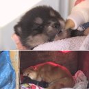 호화농장 이미지