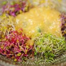 조은밥상 이미지