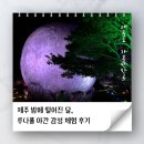 루나폴 | 제주도 밤에 가볼만한 곳 루나폴 후기🌕｜커플 데이트코스, 야간 핫플 정복!