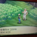 재뉴어리 이미지