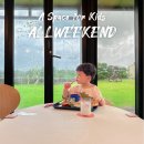 비자림스마일 | 제주도 동쪽 아이랑 갈만한 곳 제주 비자림 신상 카페 올위켄드