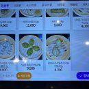 첨아각 이미지