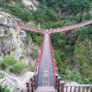 아우라지 출렁다리 이미지