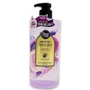 레몬향데이지 이미지