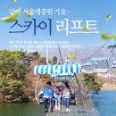 27 | 4월 7일 벚꽃시즌 과천 서울대공원 리프트 27개월 아이랑 동물원 평일 후기