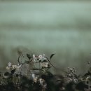 서울병원(응급실)
