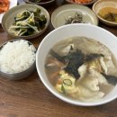비도씨로스터스