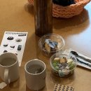 맹그로브 신설 이미지