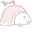 국가대표쪽갈비 이미지