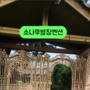 안면도가족펜션소나무별장 네이버블로그