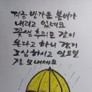 상식 퀴즈 이미지