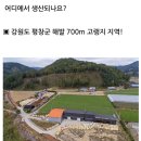 [내돈내산] 해발 700m 고랭지 평창 잣 백잣 1kg