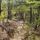 성산약수 이미지