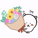 달서과일