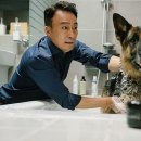 미스터 주 이미지
