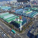 농산물도매시장 파이낸셜뉴스