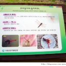 눈늪목장 이미지