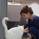 공주야뷰티