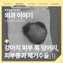 송악동물병원