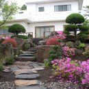 꽃피는 풍경 이미지