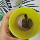 헬스서플먼트