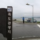 쭈꾸미사랑 이미지