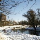 서호꽃뫼공원 이미지