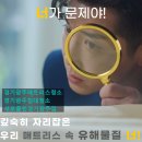 매트리스;소파;카페트새로클린경기광주점 이미지